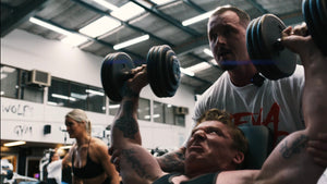 Package 2 - Bodybuilding Off Season Coaching